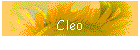 Cleo